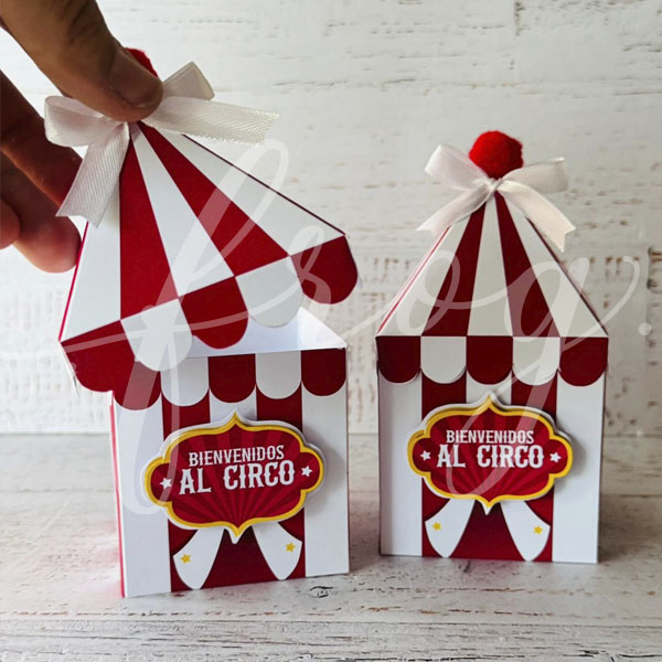 Taller Temática "CIRCO" - Image 4